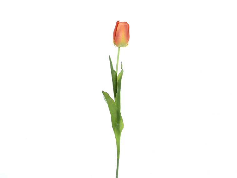 Tulipan enojni 64cm