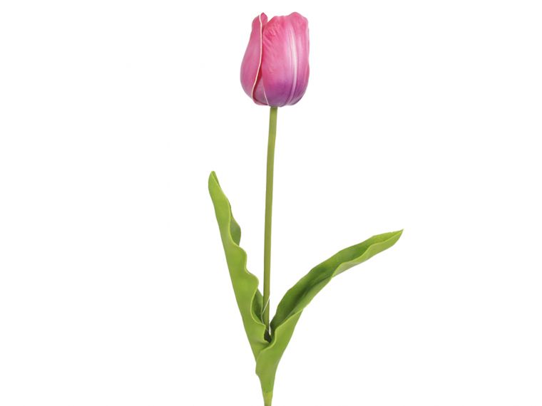 Tulipan 68cm