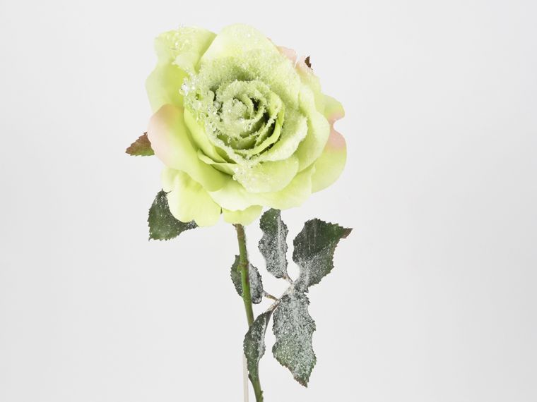 Vrtnica enojna zamrznjena 58cm