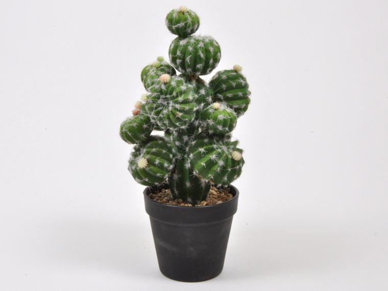 Cactus in black pot 33cm