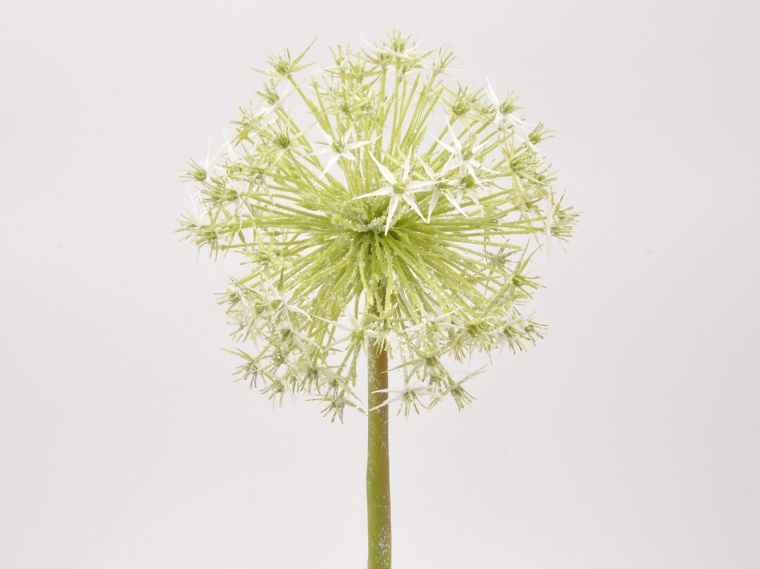 Česnov cvet z bleščicami 44cm