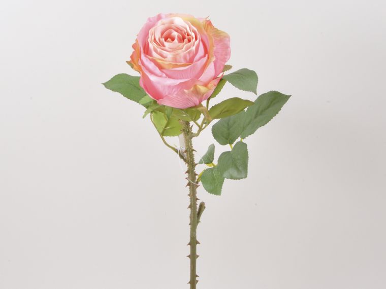 Vrtnica enojna 55cm