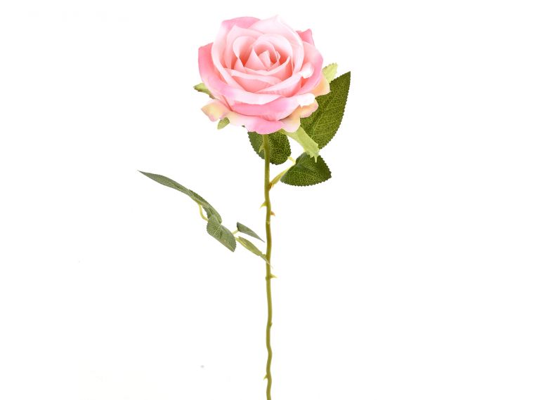Vrtnica enojna 75cm