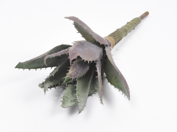 Sukulenta 37cm
