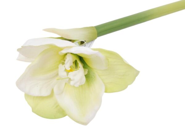 Amarilis vejica 40cm bela svila