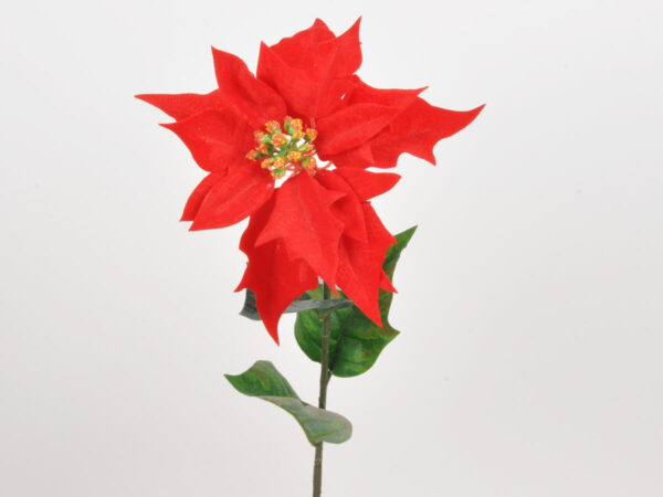 božična zvezda 65cm rdeča žamet
