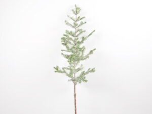 Brinjeva veja 110cm zelena plastika
