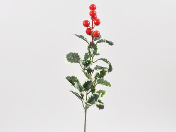 ilex vejica z jagodami zelena plastika