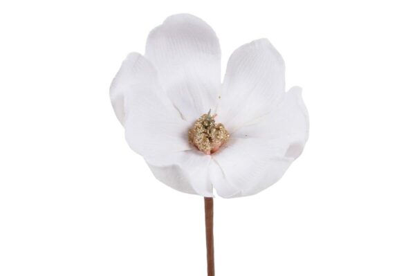 Magnolija pik bela žamet