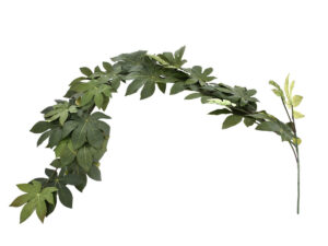 Fatsia girlanda zelena svila