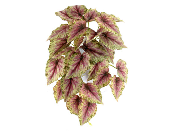Begonia padajoča šopek zelena/rdeča plastika