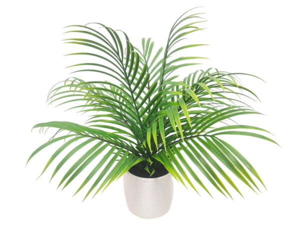 Areca palma mini vlončena zelena svila