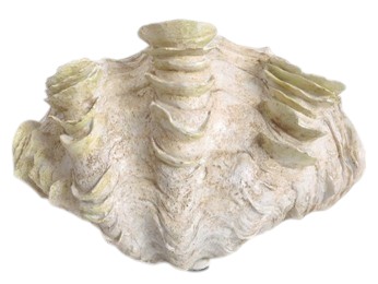 Školjka 30x18,5x20cm bež polirezina