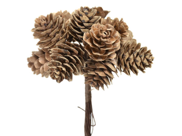 Storži pik 11cm /6 šopkov v pvc vrečki natur