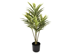 Dracena x4 vlončena real touch zelena svila