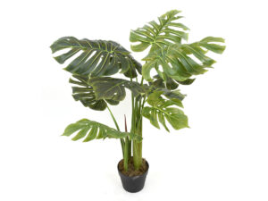 Monstera vlončena zelena svila