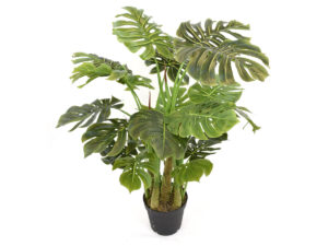 Monstera vlončena zelena svila