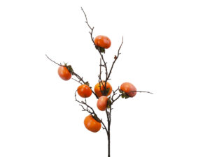 Kaki vejica oranžna stiropor