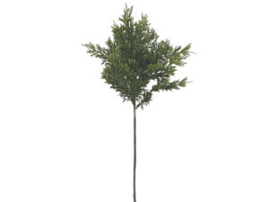 Cipresa vejica zelena plastika