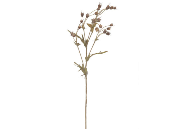 Jagodičevje vejica light brown svila