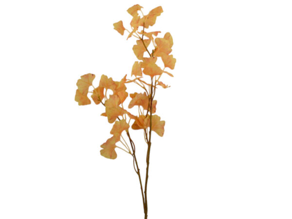Ginko vejica oranžna svila