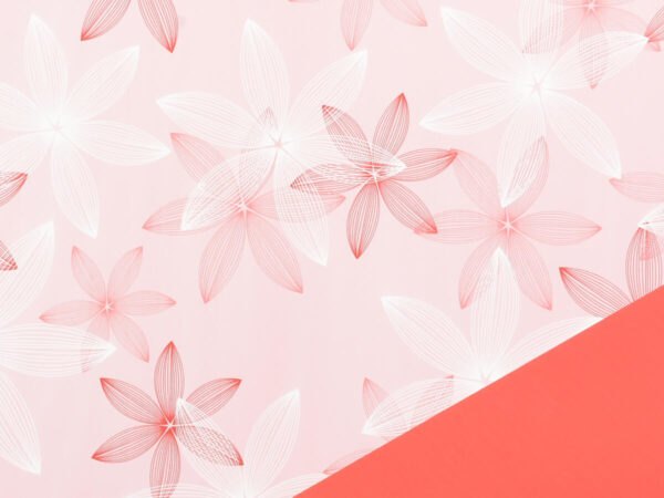 Rola bloom whirl rdeča ppl 40my