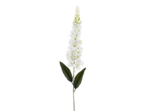 Delfinium vejica bela svila