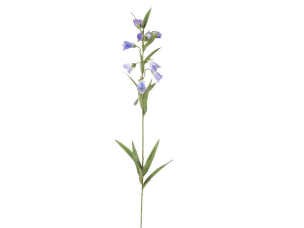 Campanula vejica 6 cvetov vijola svila