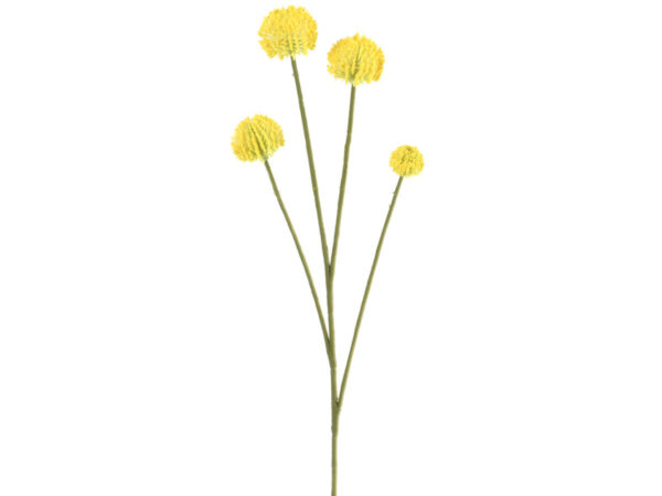 Craspedia globosa vejica 56cm rumena plastika