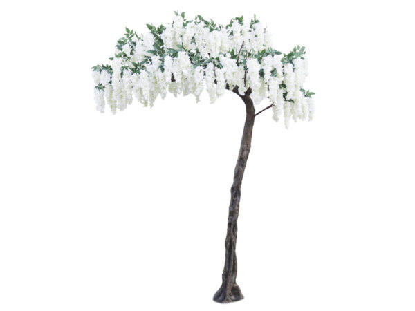 Glicinija drevo h320cm bela svila