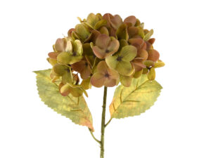 Hortenzija vejica 57,9cm zelena/rumena svila