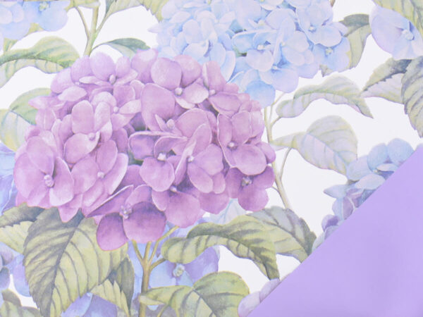 Rola grandiflora lavanda bela ppl 40my