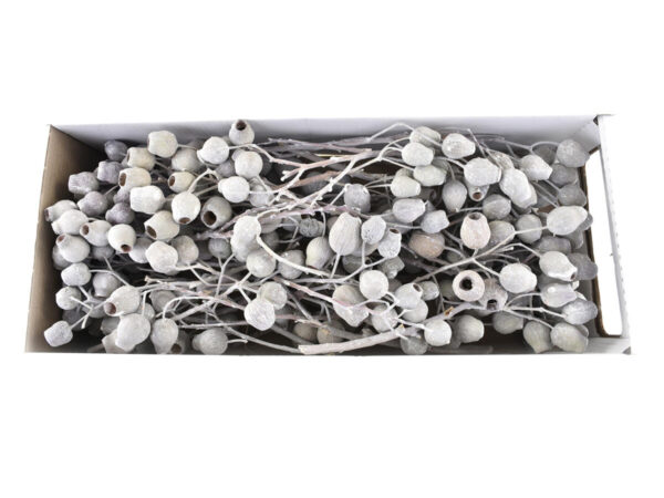 Bellgum spray /40kos bela