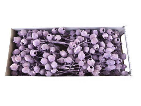 Bellgum spray /40kos vijola