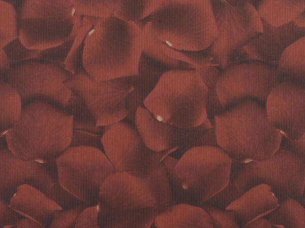 Rola havana petals