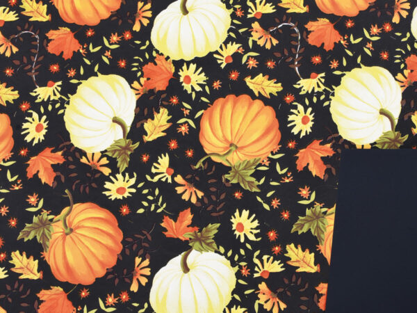 Rola pumpkin črna ppl 40my