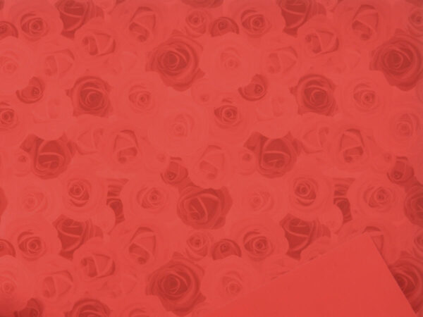 Rola Roses bordo rdeča ppl 40my