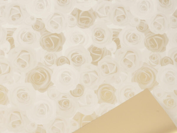 Rola Roses zlata krem ppl 40my