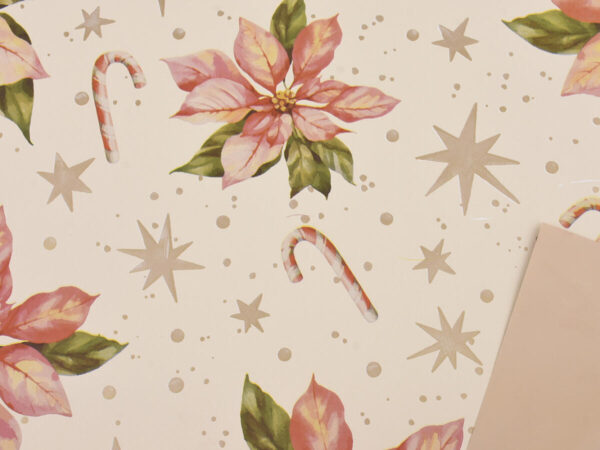 Rola x'mastide natur ppl 40my